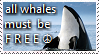 all whales must be free